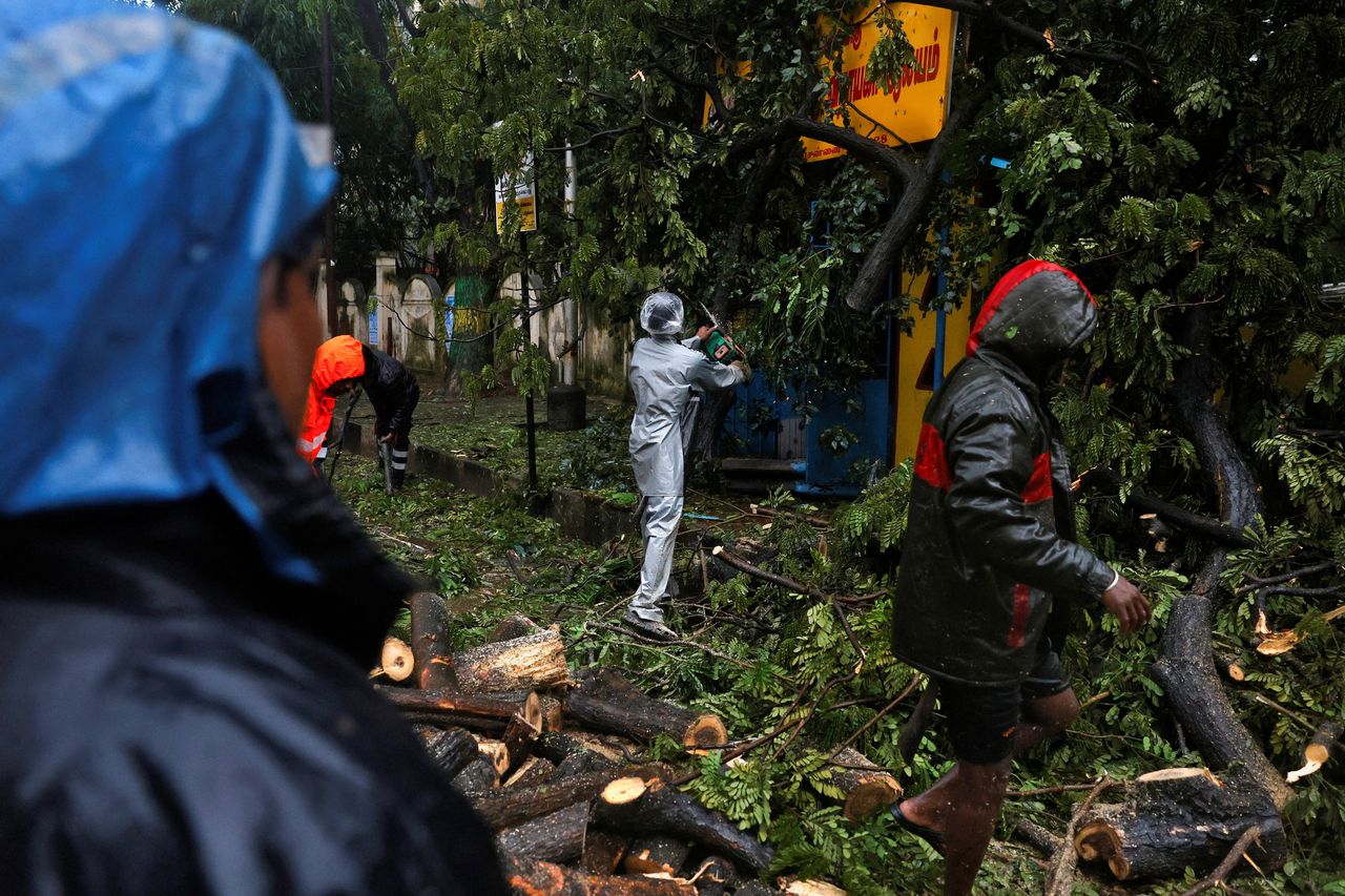 Gehavende bomen in de Indiase stad Chennai worden gesnoeid na de overstromingen.