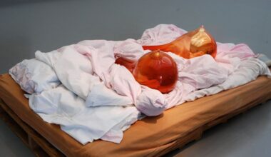 Maria Roosen in Stedelijk Museum Schiedam: glaskunst tussen zachtheid en kracht