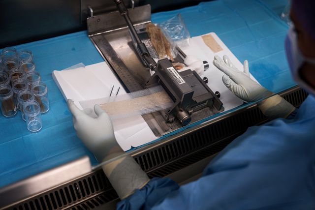 Preparatie van weefsel bij ETB-BISLIFE in Haarlem 