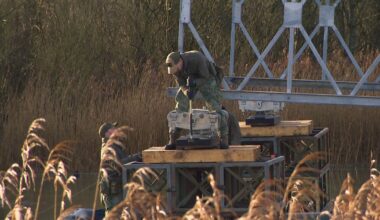 Landmacht bouwt 60 meter lange brug bij Lauwersoog: 'We moeten klaar zijn voor de NAVO'