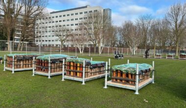 Afsteekverbod in Zwolle, maar wél grote vuurwerkshow: 'Zien hoe het uitpakt' - RTV Oost