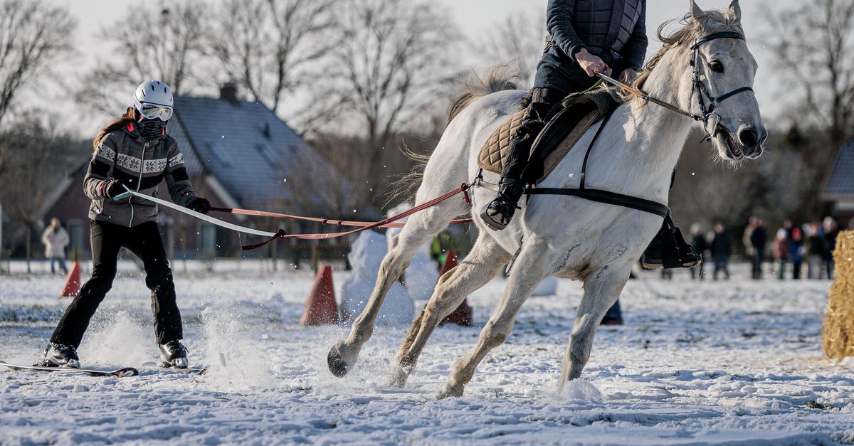 Op voorlopig de laatste sneeuwdag loopt heel Markelo uit voor de Grand Prix galopskiën