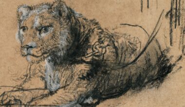 Hoe kan Rembrandt een leeuw hebben getekend?
