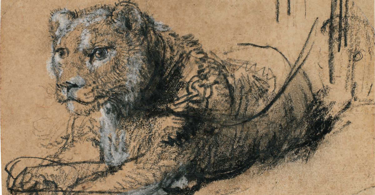 Hoe kan Rembrandt een leeuw hebben getekend?