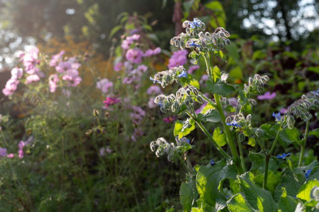 Danh Vo, ‘Güldenhof’, zomer, 2025. 
