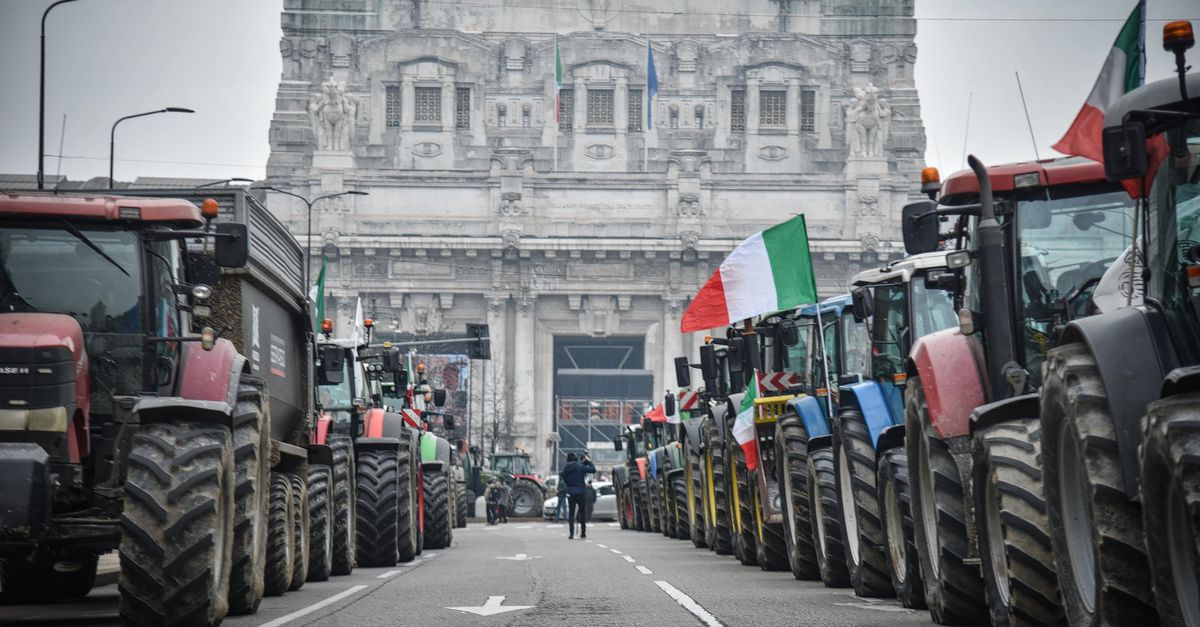 Wie zijn de winnaars en verliezers van het handelsakkoord tussen Mercosur en de EU?