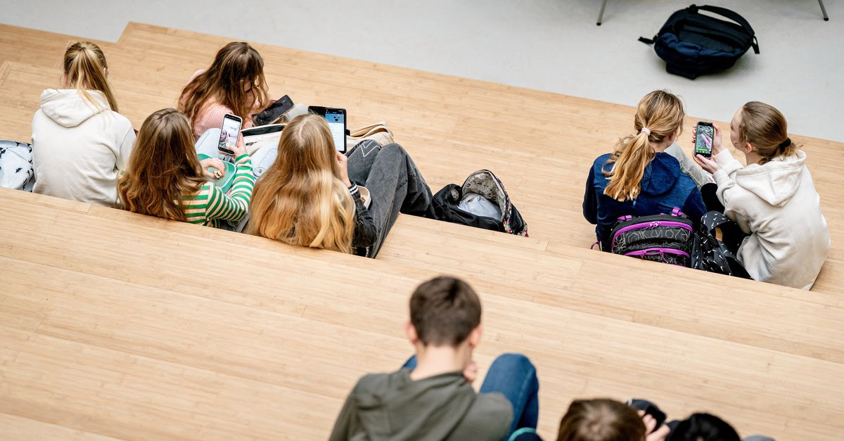 Onderwijsraad: school is ook een oefenplaats waar je leert omgaan met ongemak in het leven