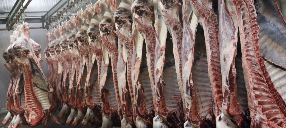 Vleesproductie krimpt in 2026 voor het eerst in zes jaar