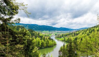 Het proza van Charlotte Mutsaers vloeit verleidelijk. Maar wat moeten we ermee?