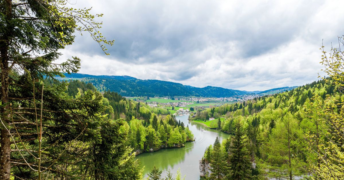 Het proza van Charlotte Mutsaers vloeit verleidelijk. Maar wat moeten we ermee?