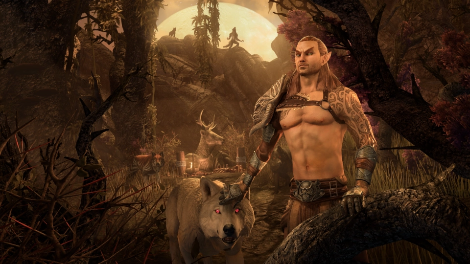 The Elder Scrolls Online 2026 Class reworks