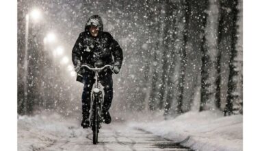 Opnieuw veel sneeuw; Sommige scholen blijven dicht