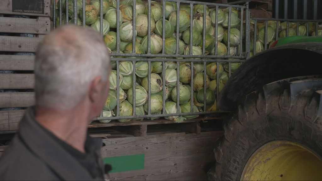 'Te goede' oogst leidt tot overaanbod: 'Kolen van paar kilo'