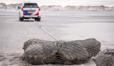 Grote pakketten met mogelijk drugs aangespoeld op Terschelling