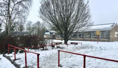 Basisschool in Ruinen blijft vandaag dicht, mogelijk wolf dicht bij school