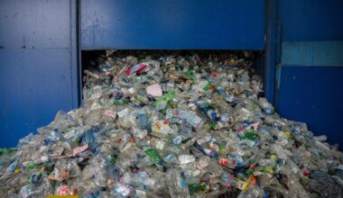 Drinken uit plastic flessen kan alvleesklier beschadigen en tot diabetes en obesitas leiden - Joop