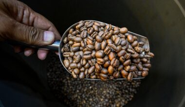 Huur, rundvlees, koffie, chocolade en boter maakten het leven vorig jaar duurder