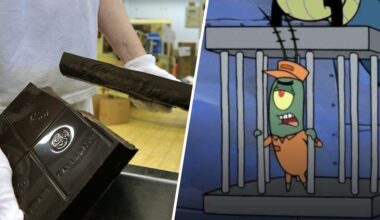 Zes maanden cel voor man die chocoladerecepten stal