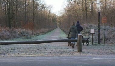 Honden geweigerd in natuurgebied vanwege poep, 'ik vind het ver gaan'