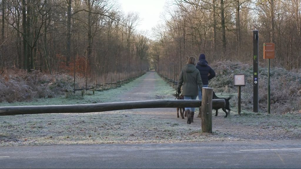 Honden geweigerd in natuurgebied vanwege poep, 'ik vind het ver gaan'