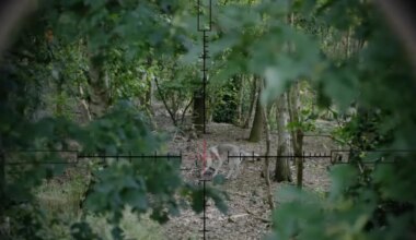 Is ‘Woeste Grond’ werkelijk een grote poel des verderfs? - Joop