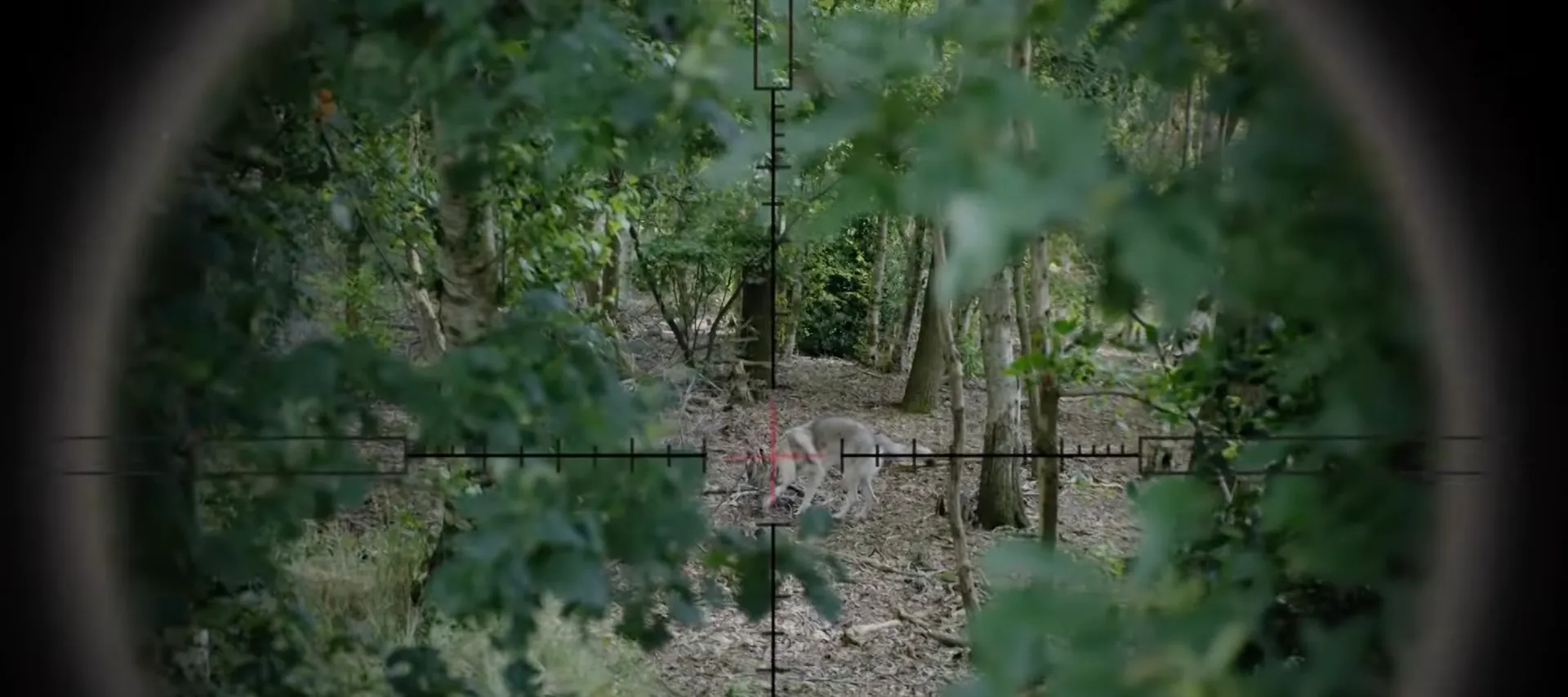 Is ‘Woeste Grond’ werkelijk een grote poel des verderfs? - Joop