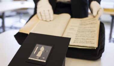 Duitsland geeft geroofde fragmenten van Tapijt van Bayeux terug aan Frankrijk