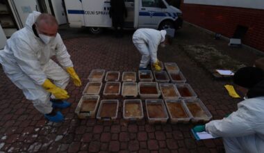 Nederlandse politie betrokken bij oprollen drugsbende in 'grootste operatie ooit'