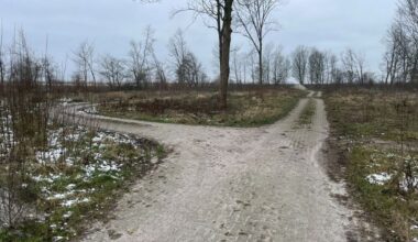 Stichting Keelbos: Het is gedaan met de homo-ontmoetingsplaats Schildmeer