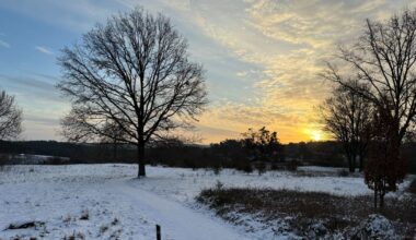 Honden, wandelaars en stilte: sneeuwbeleving in Zuid-Limburg - L1 Nieuws