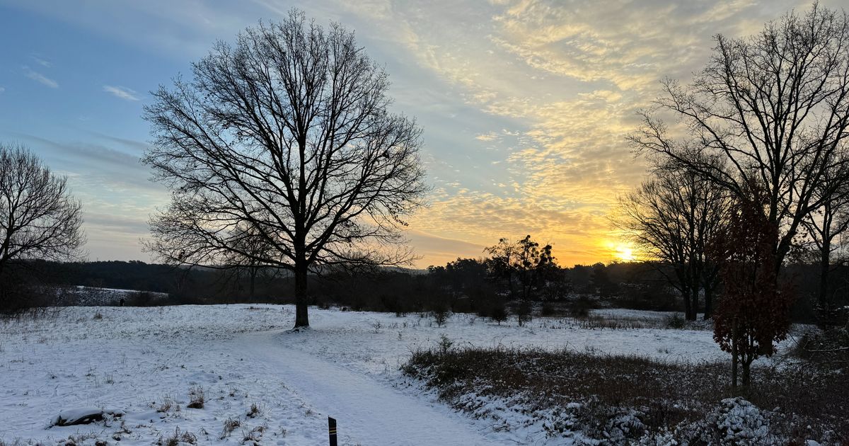 Honden, wandelaars en stilte: sneeuwbeleving in Zuid-Limburg - L1 Nieuws