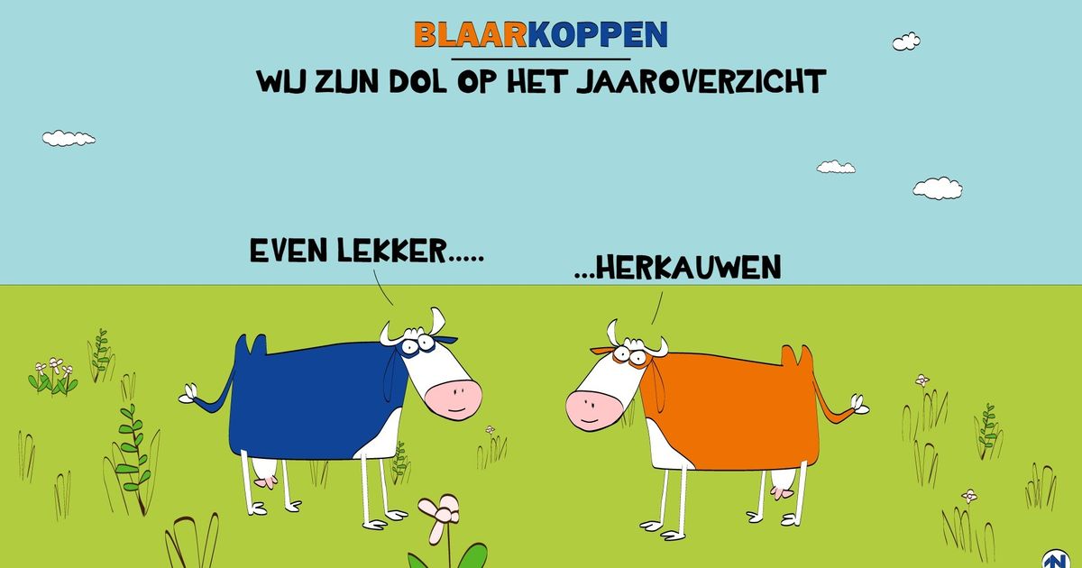 Blaarkoppen kijken met goed gevoel terug op 2025 - RTV Noord