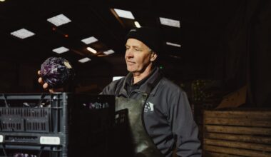 Teler Pals blijft zitten met bijna 200.000 kilo kool, Bredaas collectief schiet te hulp | BredaVandaag