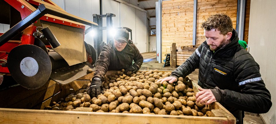 Bijna een miljoen kilo aardappelen krijgt nieuwe kans