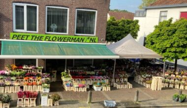 Bloemenzaken van vader en dochter na 29 jaar failliet: 'Het was trekken aan een dood paard'