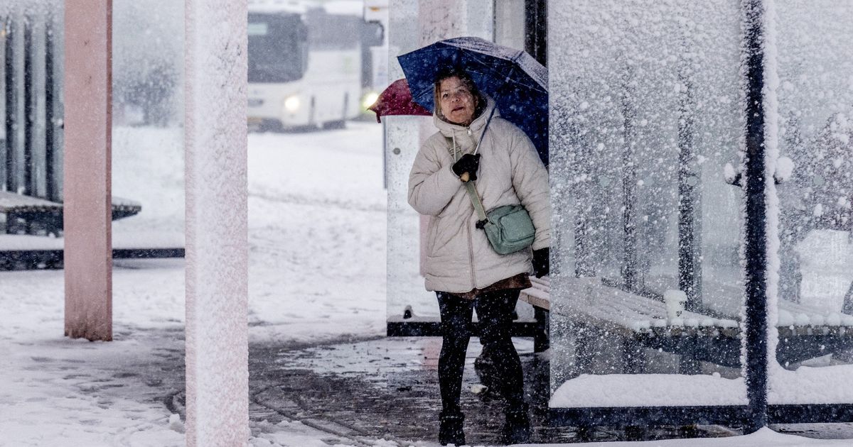 Weerupdate: woensdagmiddag kans op nieuwe buien - Omroep West