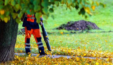 Zwolle wil af van bladblazer op benzine, maar dat stuit op veel problemen