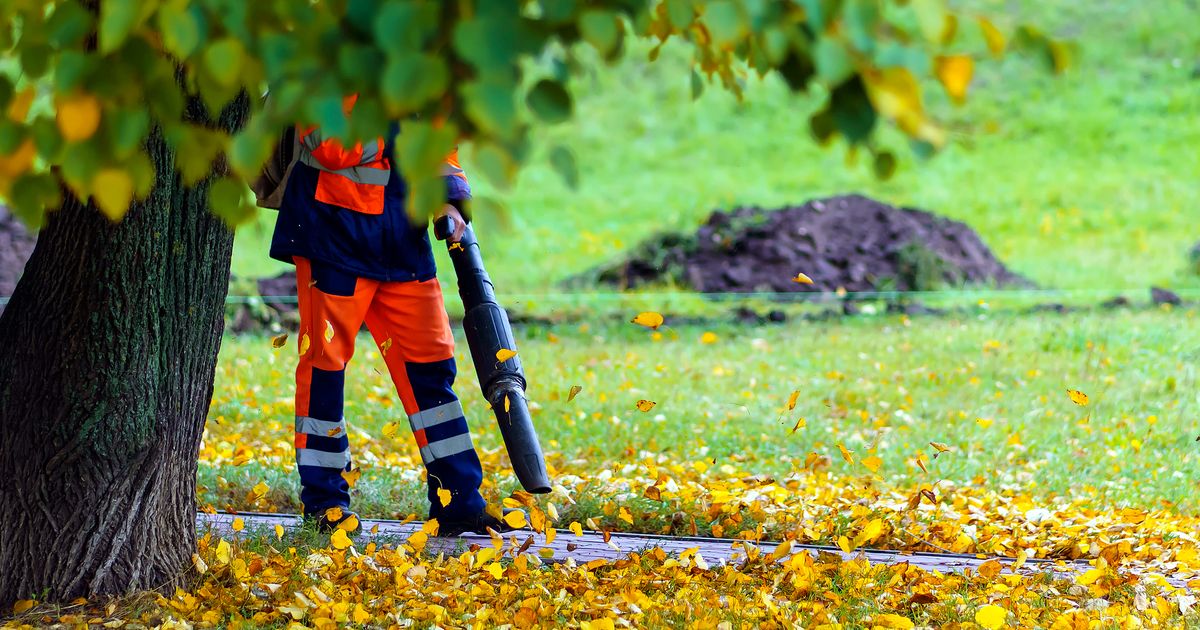 Zwolle wil af van bladblazer op benzine, maar dat stuit op veel problemen