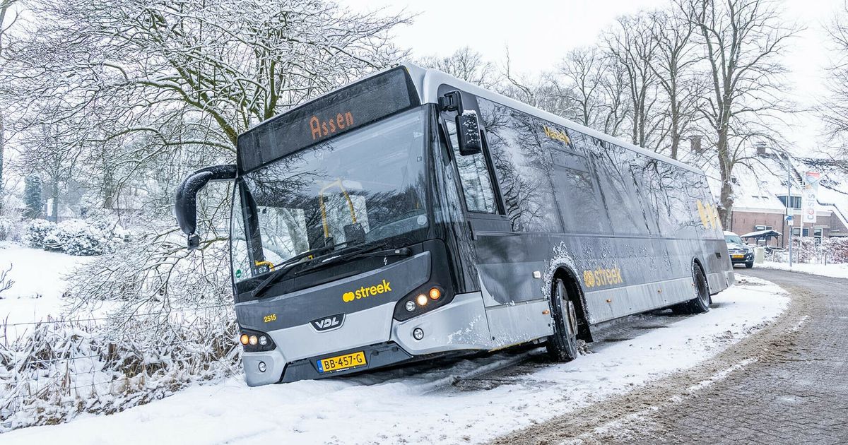 Streekbus raakt van de weg bij Peest
