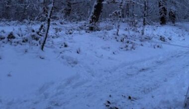 Politie waarschuwt voor 'boobytraps' in bos van Beetsterzwaag