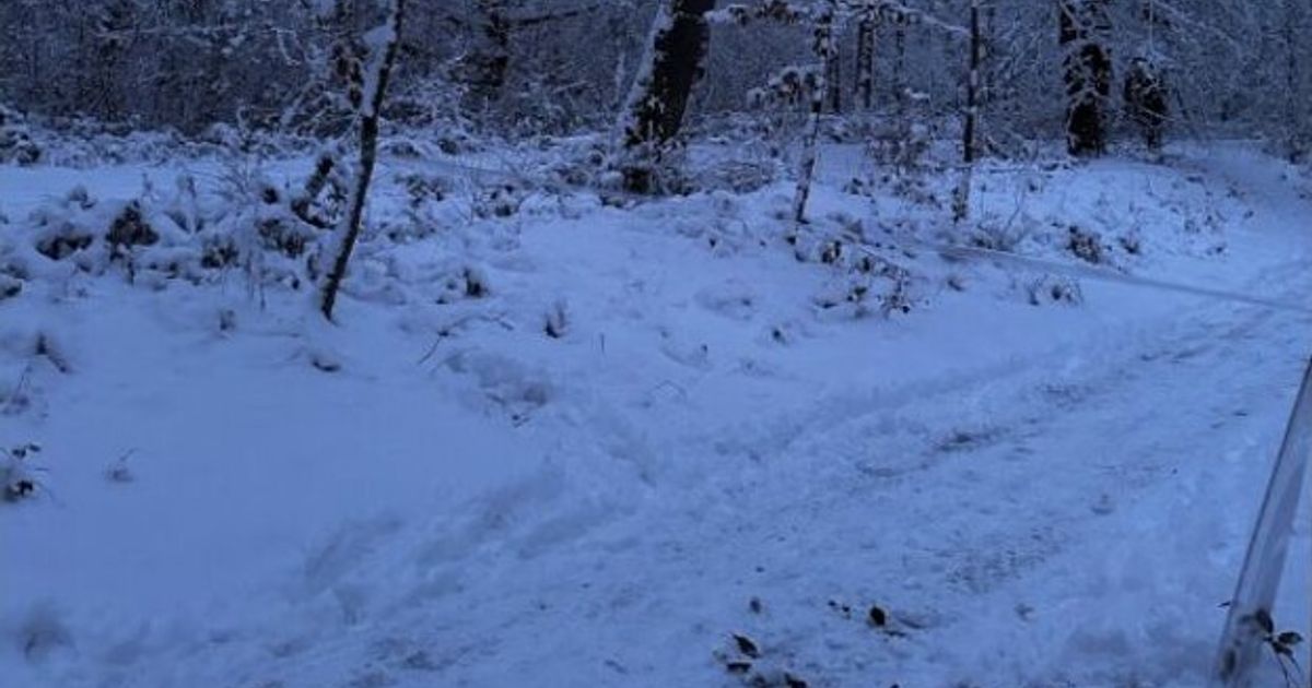 Politie waarschuwt voor 'boobytraps' in bos van Beetsterzwaag