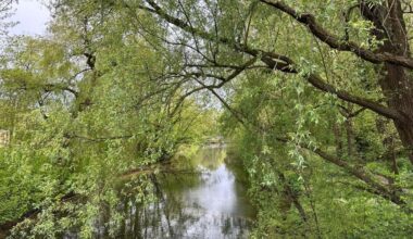 Gemeente koopt vanaf nu alleen planten die gifvrij zijn