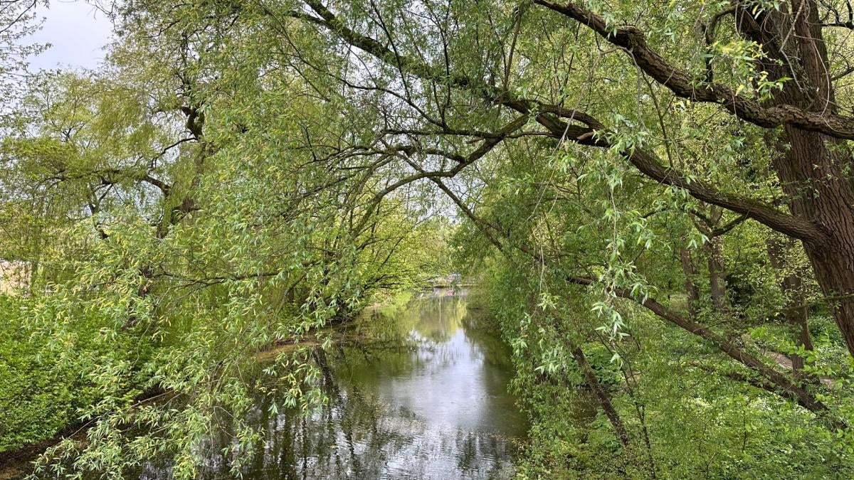 Gemeente koopt vanaf nu alleen planten die gifvrij zijn