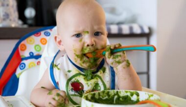 Kwart Noord-Hollandse gemeenten doet mee aan babygroentetas, ook Noordkop nu erbij