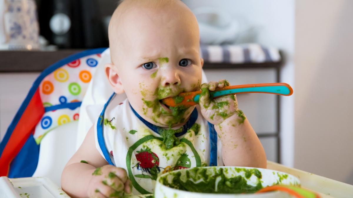Kwart Noord-Hollandse gemeenten doet mee aan babygroentetas, ook Noordkop nu erbij