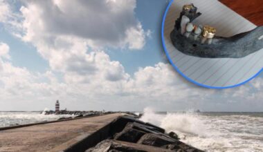 Kaak met gouden tanden gevonden op strand in Wijk aan Zee