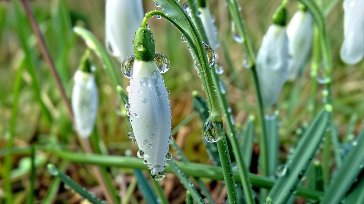 Zacht en zonnig winterweer in Noord-Holland: voorlopig geen kou meer