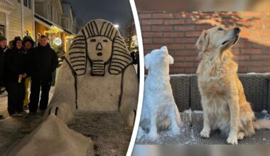 Van sneeuwhond tot iglo en van sfinx tot panda: dit zijn jullie mooiste sneeuwcreaties - Rijnmond