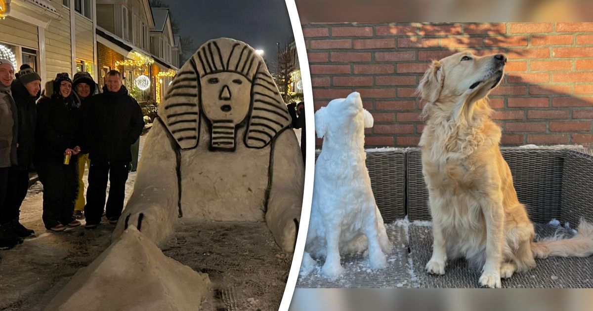 Van sneeuwhond tot iglo en van sfinx tot panda: dit zijn jullie mooiste sneeuwcreaties - Rijnmond