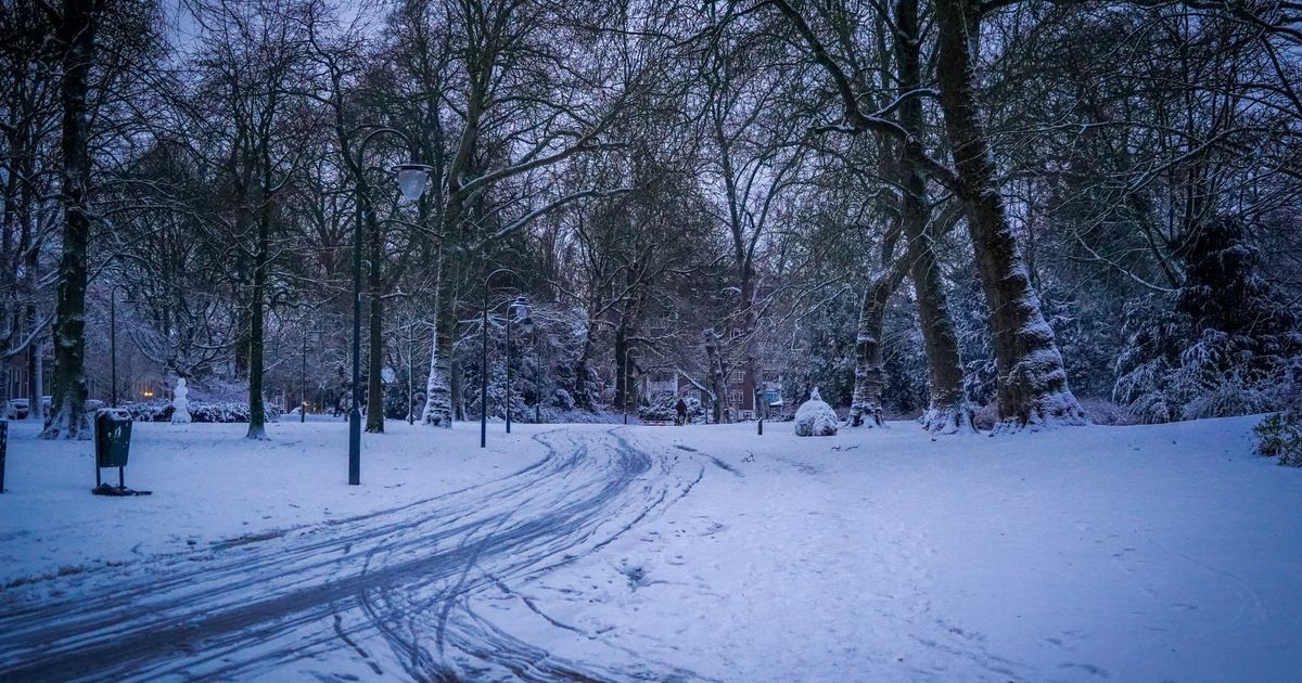 'We laten niemand in de kou staan': winterkou treft daklozen in Groningen